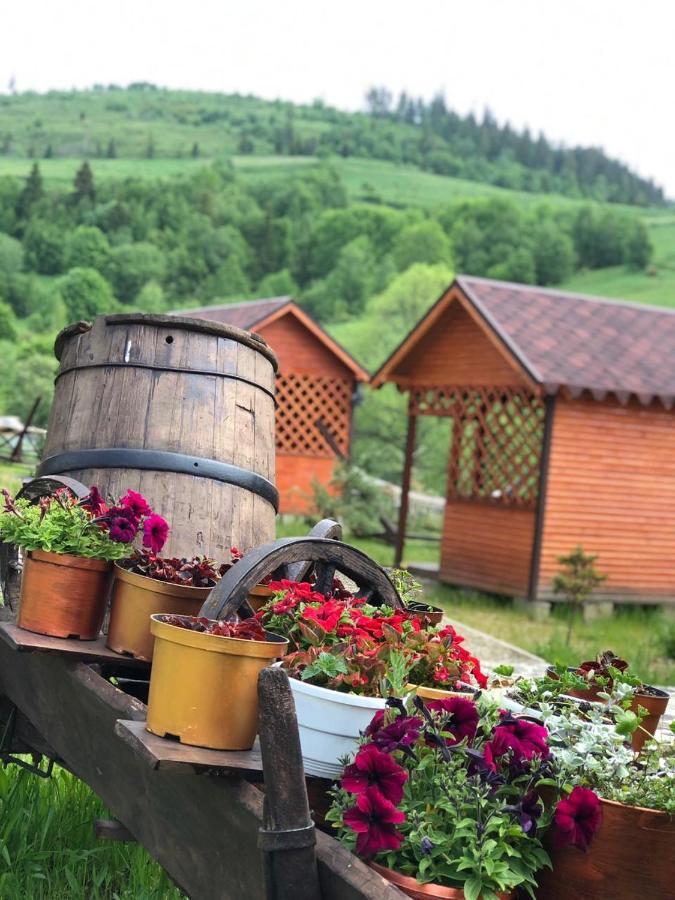 Шервуд Apartamento Myta Exterior foto